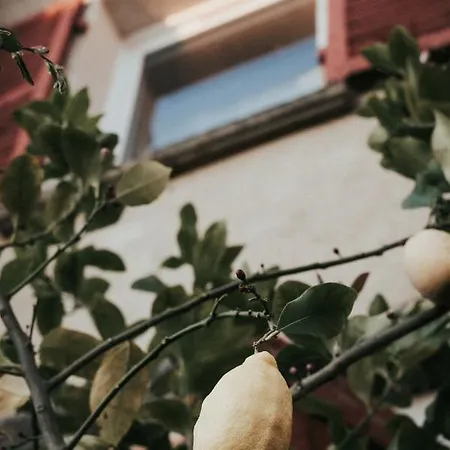 La Maison Perchee *